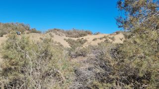 2023-GC--Mapalomas dunas-S123-132.jpg